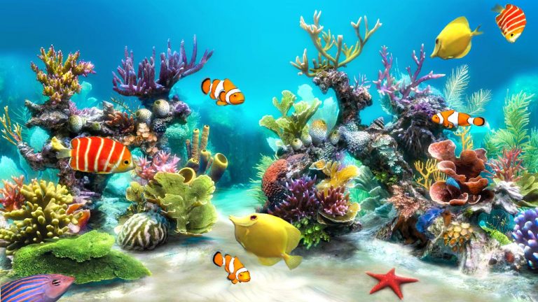 20 screen saver tuyệt vời giúp PC thật độc đáo
