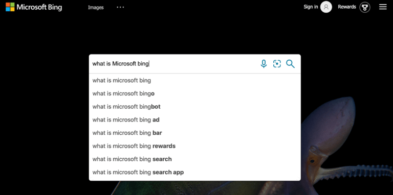 Microsoft Bing