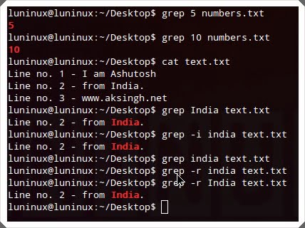 29 lệnh Linux cơ bản dành cho nhà phát triển web 13 lệnh linux