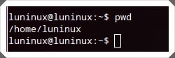 29 lệnh Linux cơ bản dành cho nhà phát triển web 4 lệnh linux