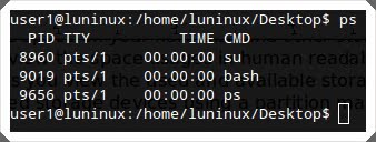 29 lệnh Linux cơ bản dành cho nhà phát triển web 28 lệnh linux