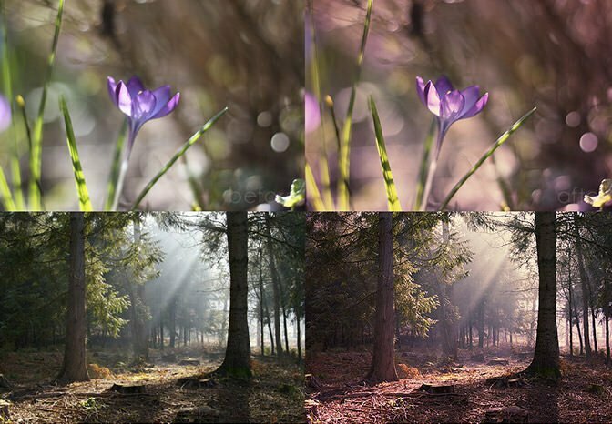 Mystical light Photoshop action