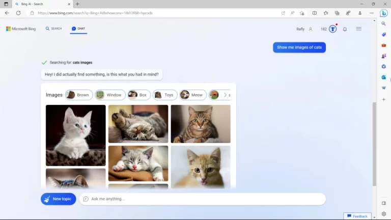 Cách tìm hình ảnh bằng Bing Chat