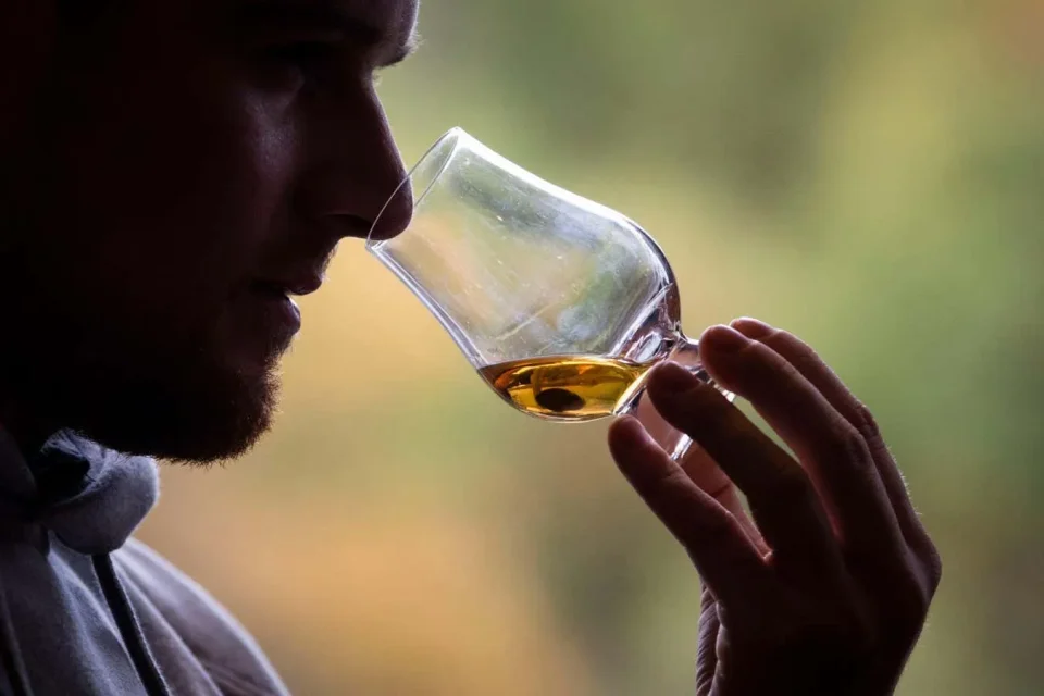 Trí tuệ nhân tạo vượt qua chuyên gia phân biệt whisky Mỹ và Scotch