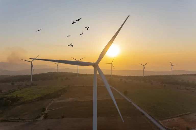 Công nghệ khí hậu và bước ngoặt mới với trí tuệ nhân tạo trong năm 2025
