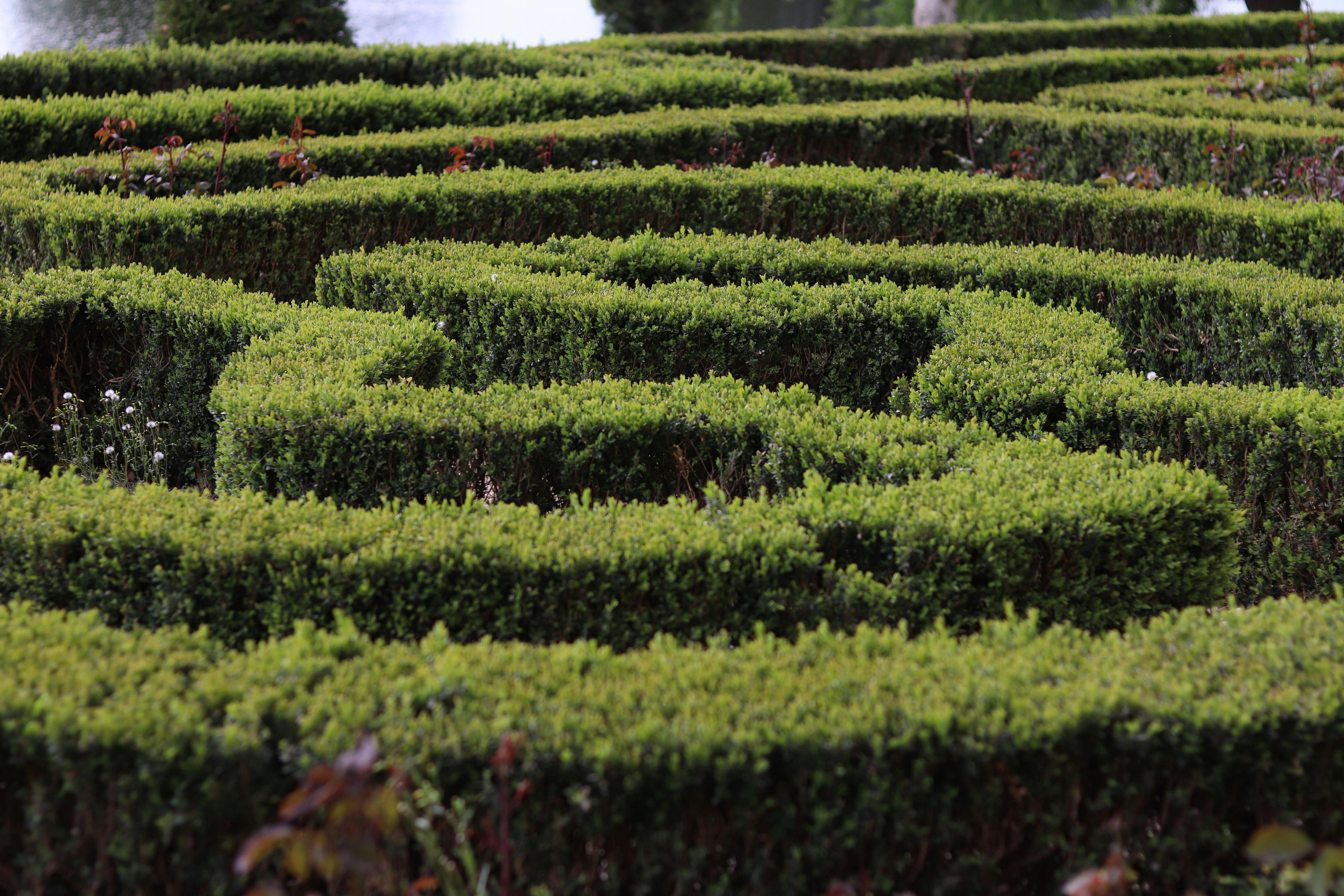 AI Labyrinth của Cloudflare: Giải pháp chống lại bot AI hiệu quả 5 labyrinth of hedges suggesting time and resource expenditure like AI Labyrinth requires for AI crawlers