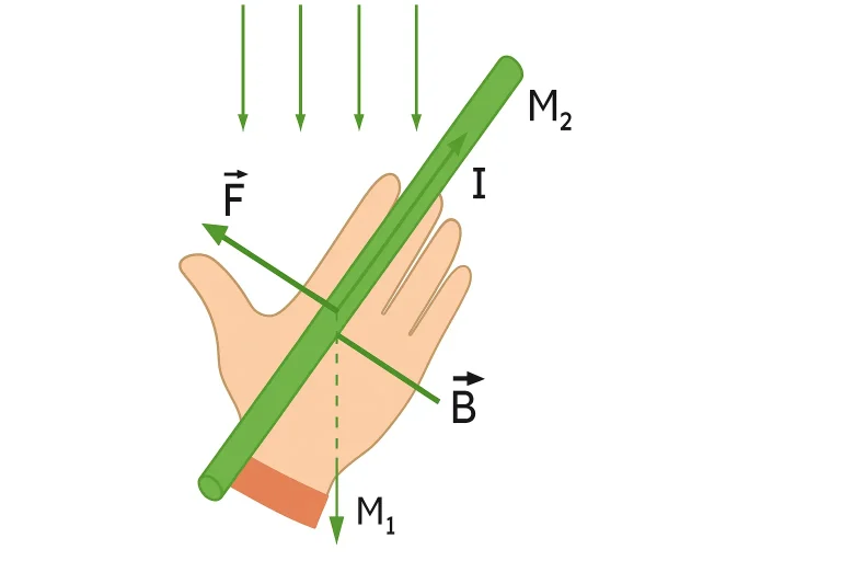 Quy tắc bàn tay trái
